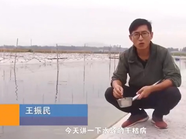 抖圈干枯病产生涯法规及防治步骤