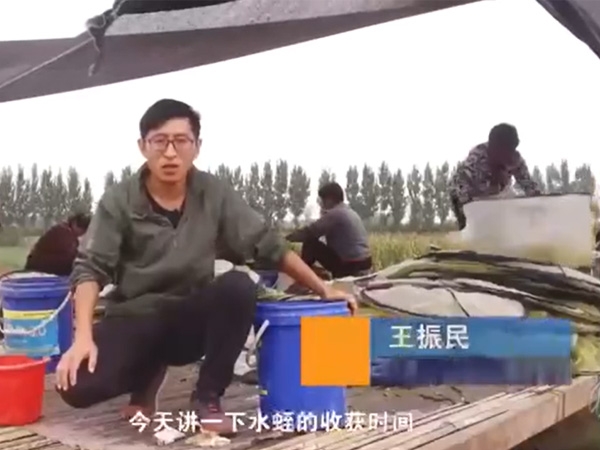 抖圈收成功夫