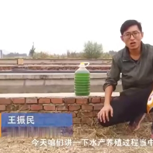 水产养殖过程中藻类的使用介绍