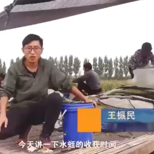 抖圈收成功夫
